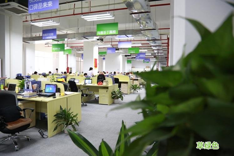 东莞专攻网络 东莞网站营销