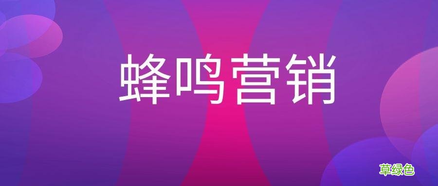 蜂鸣营销策划步骤 蜂鸣营销