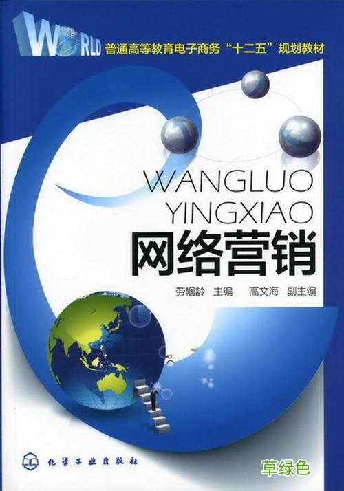 自学网络推广的书籍 关于网络营销的书