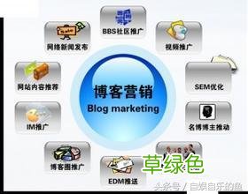 搜索推广 博客营销推广