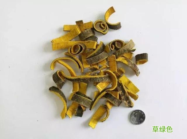 黄柏有什么作用与功效 黄柏什么功效与作用