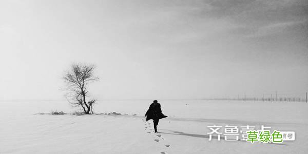 门卫老王 小说 命两数怎么查