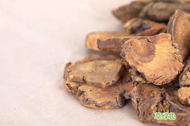 大黄的功效是哪些 大黄有什么功效与作用