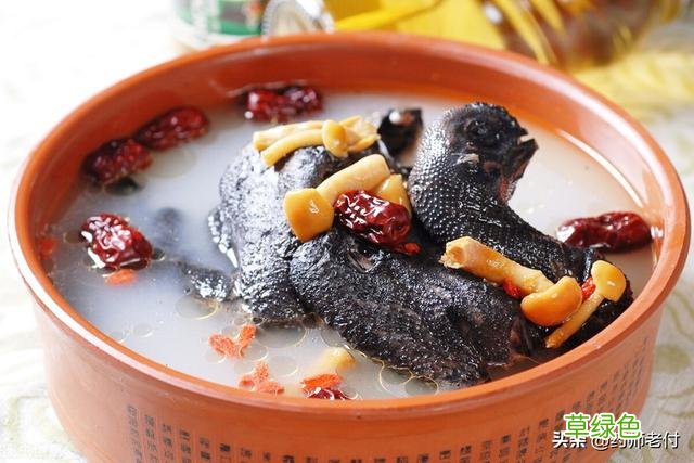 降血草是什么样子 降血草的功效与作用