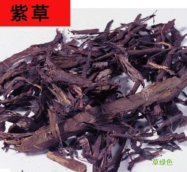 中草药紫草的功效 紫草的功效中药大全
