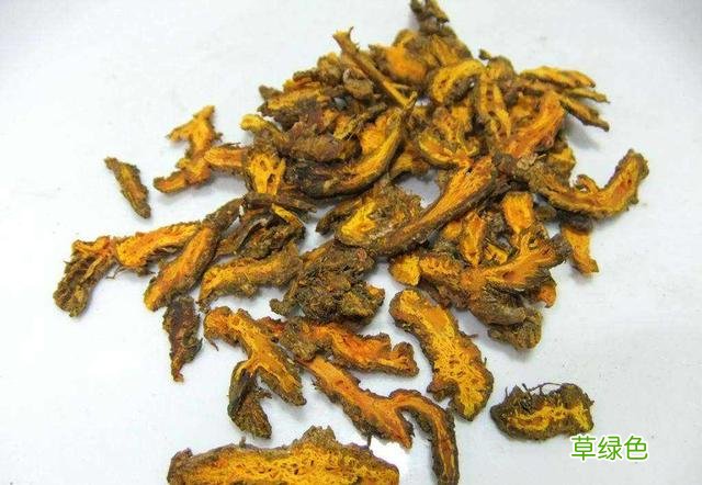 黄连黄连的功效与作用及禁忌 黄连黄连的功效与作用