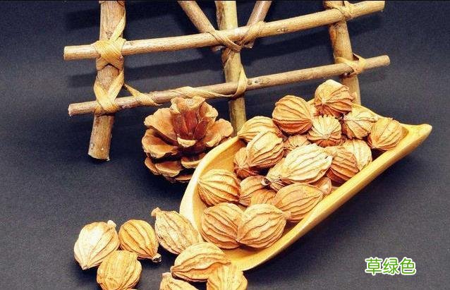 草寇的功效与作用和主治 草扣的功效与作用