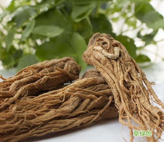 草寇的功效与作用和主治 草扣的功效与作用