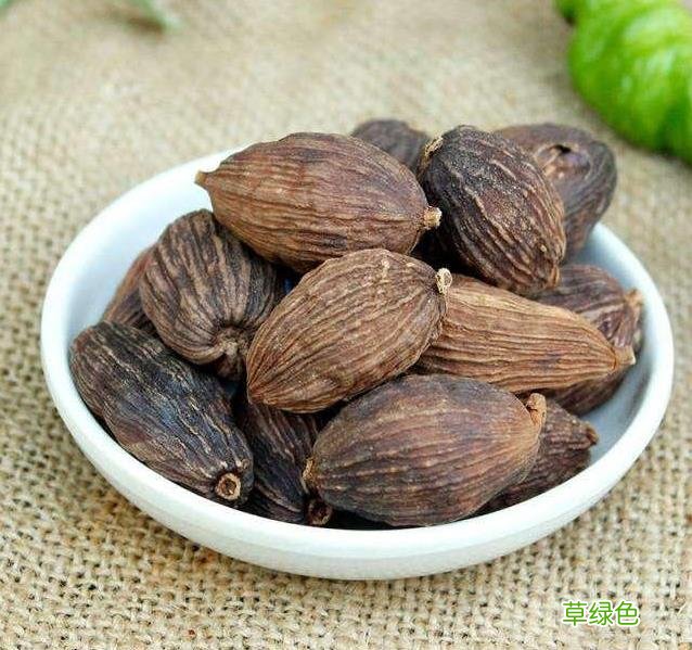 草寇的功效与作用和主治 草扣的功效与作用