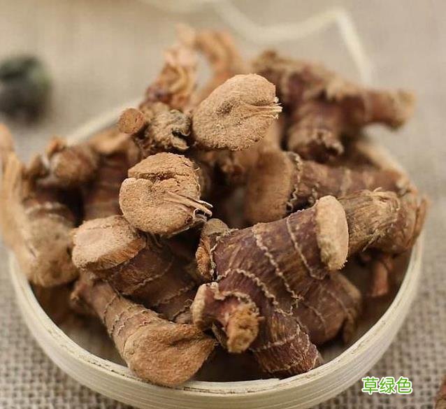 草寇的功效与作用和主治 草扣的功效与作用