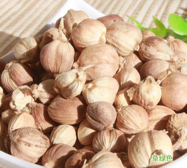 草寇的功效与作用和主治 草扣的功效与作用