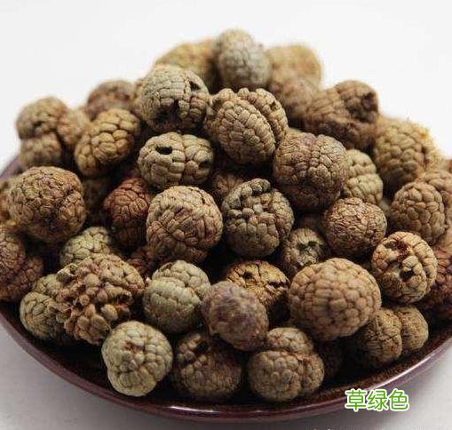 草寇的功效与作用和主治 草扣的功效与作用