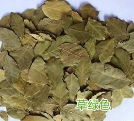 草寇的功效与作用和主治 草扣的功效与作用