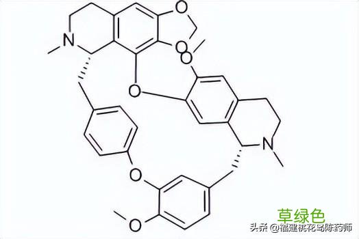 千金藤的功效与作用新冠 千金藤的功效与作用