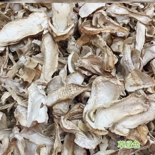 松茸菇菌包做法