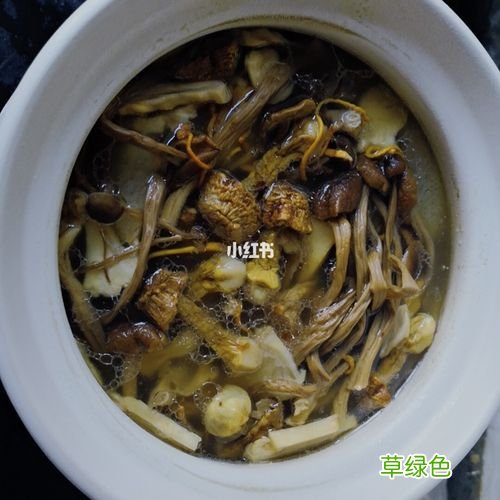松茸菇菌包做法