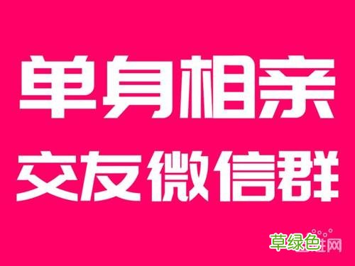 北京单身交友群微信号 单身微信交友群