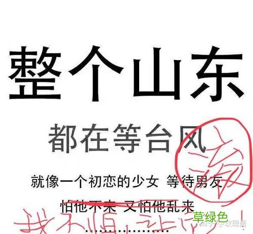 临沂交友群 临沂交友吧约吧