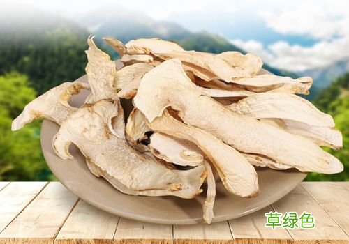 云南松茸产品直播
