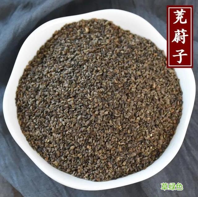 茺蔚子的功效和作用及食用方法 茺蔚子的功效与作用及食用方法