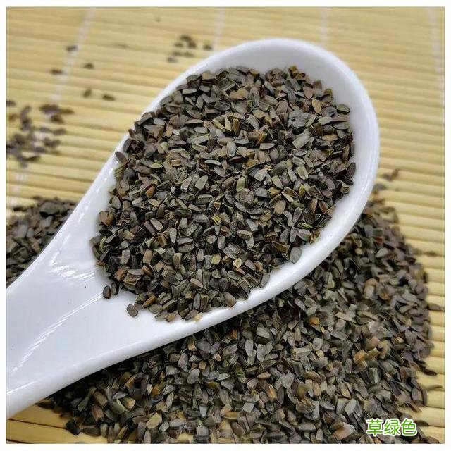 茺蔚子的功效和作用及食用方法 茺蔚子的功效与作用及食用方法