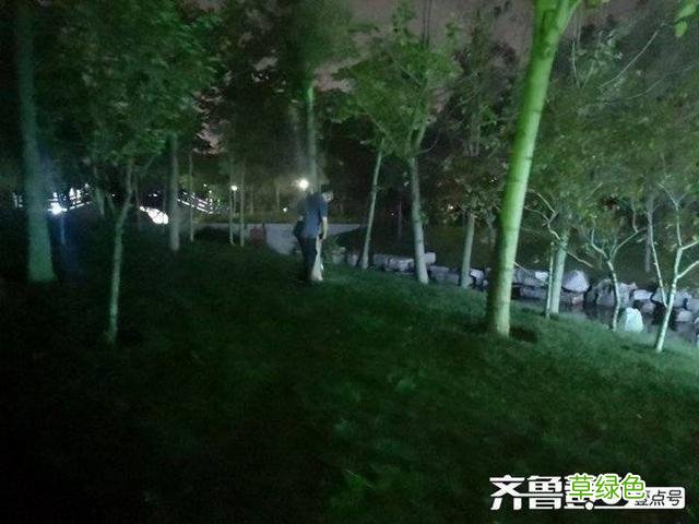蝉蜕的中药功效与作用 蝉蜕的中药功效