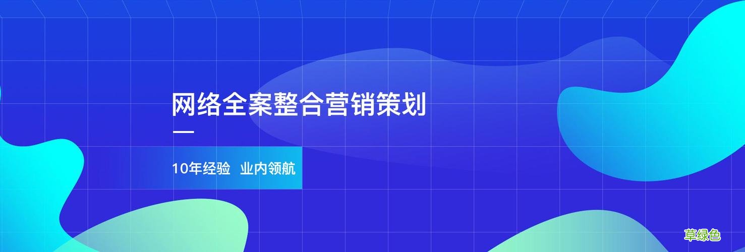 营销策划案例 品牌全案营销策划