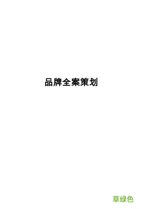 营销策划案例 品牌全案营销策划
