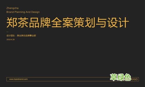 营销策划案例 品牌全案营销策划