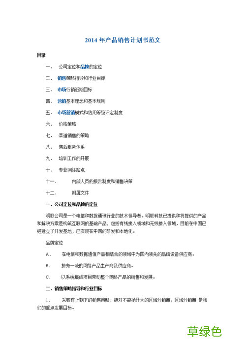 数字营销策划方案模板 营销策划案例模板