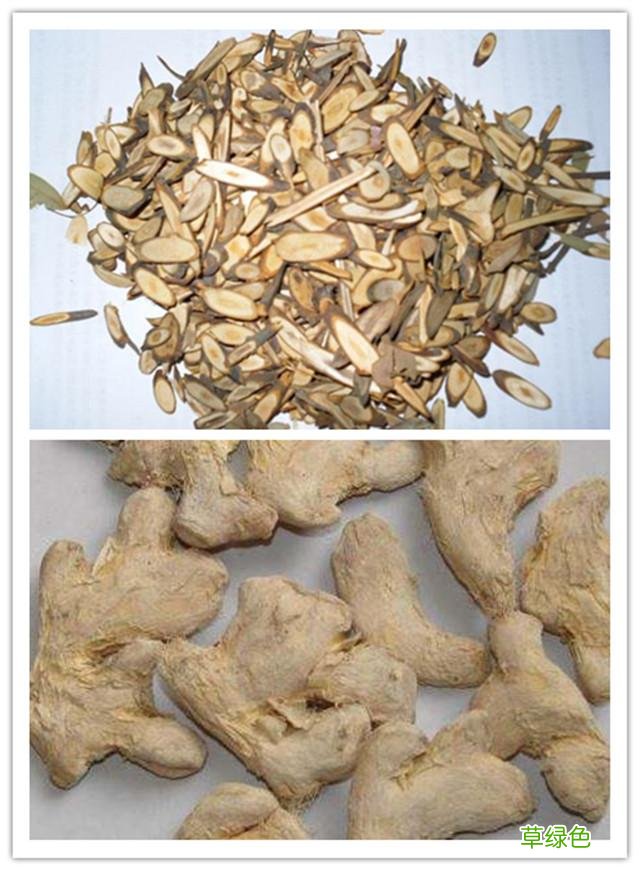 桂枝与生姜的功效与作用 桂枝和生姜功效与作用