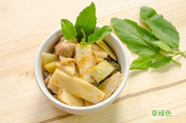 春芽菜尖作用与功效与作用 春牙菜尖作用与功效