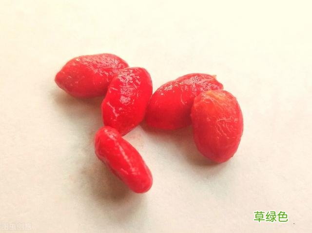 苦瓜子功效作用 苦瓜子粒的功效