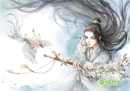 玉骨遥发布会入场背景音乐