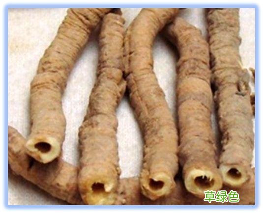 志远的作用与功效价格 志远的功效与价格