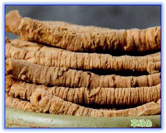 志远的作用与功效价格 志远的功效与价格