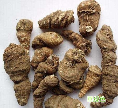 重楼的功效与作用价格 重楼的功效与价格