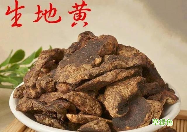 生地的功效与作用