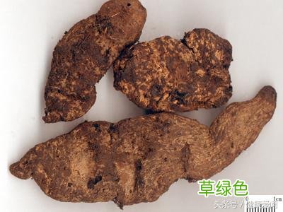 生地黄的清热凉血功效主治的病症是 生地黄的清热凉血功效主治的病症