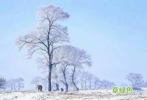玉骨遥原著小说白雪鹭 玉骨遥白雪鹭喜欢谁