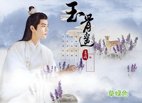 玉骨遥的演员对肖战的评价