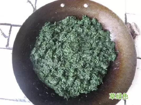 臭蒿的功效与作用图片 臭蒿的功效与作用