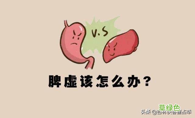 四君子汤的功效与作用及禁忌 四君子汤的功效与作用