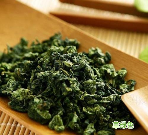 武夷星茶业加盟总代理 铁观音
