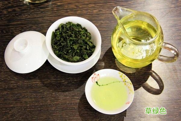 武夷星茶业加盟总代理 铁观音