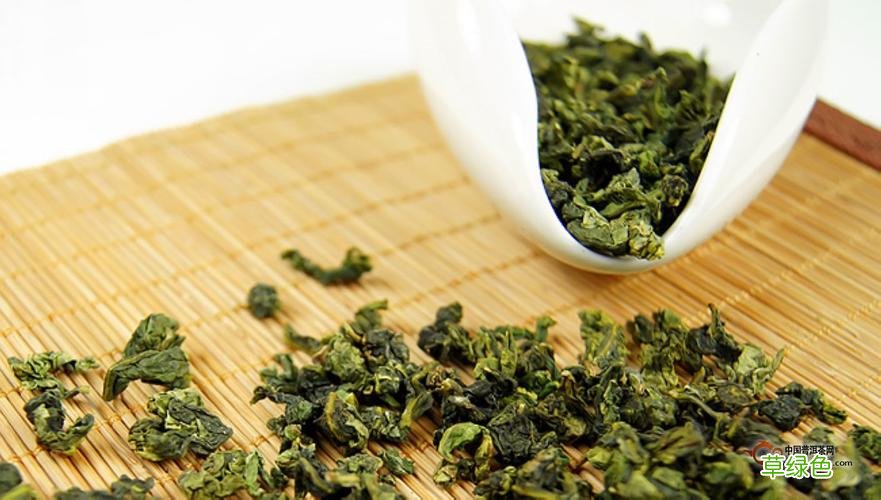 武夷星茶业加盟总代理 铁观音
