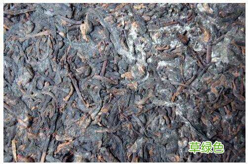普洱生茶和熟茶的区别 普洱