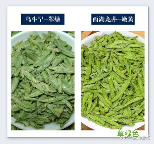 茶叶知识全集 龙井