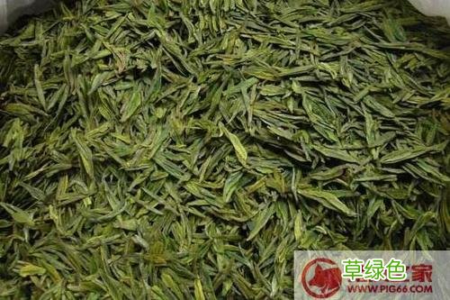 绿茶饮料配料表 绿茶