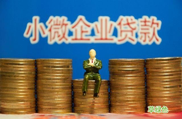 担保人还钱的都是傻子案例 用营业执照贷款需要担保人吗